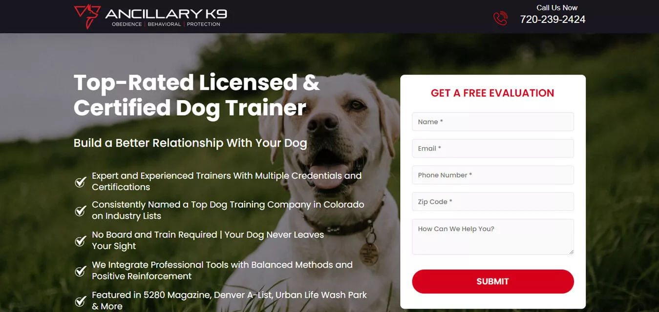 Ancillary-K9-Training-n