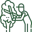 Professional Tree Services in Milford, MI 2 Trimming and Pruning