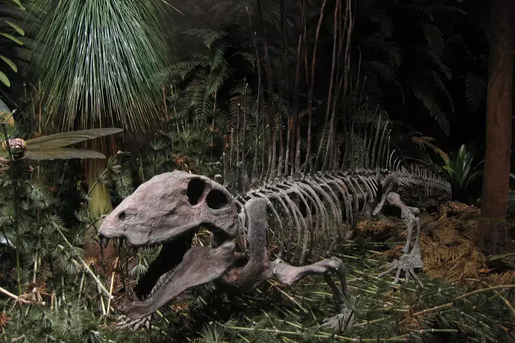 Sam Noble Museum of Natural History