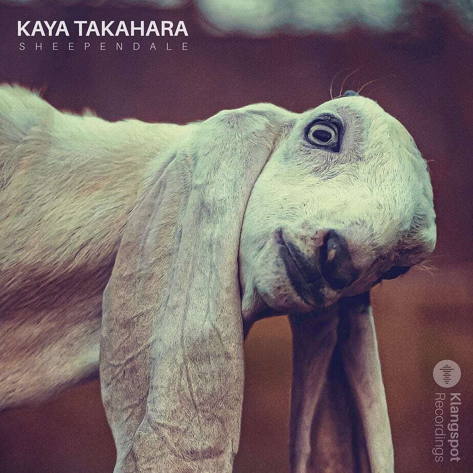 Kaya Takahara – Sheependale – When Cover Art Inspires Lofi Magic