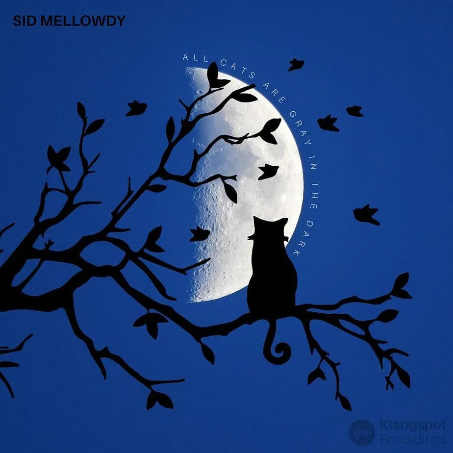 Sid Mellowdy – All Cats Are Gray In The Dark – The Perfect Lofi Soundtrack for Nocturnal Relaxation