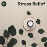 Stress Relief Music: Best Spotify Playlist for Burnout & Anxiety