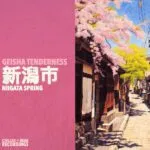 Geisha Tenderness - Niigata Spring ๆฐๆฝๅธ