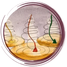 Lifecoach Katrien logo