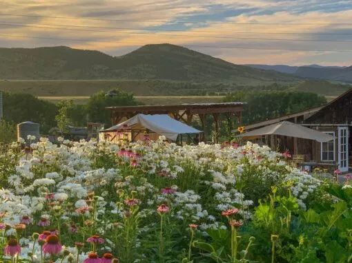 Dining Colorado April 2026