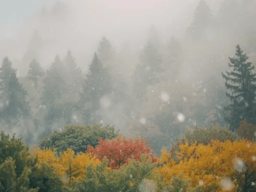 Snow in July? Why Colorado Mountains Bring Year-Round Joy!