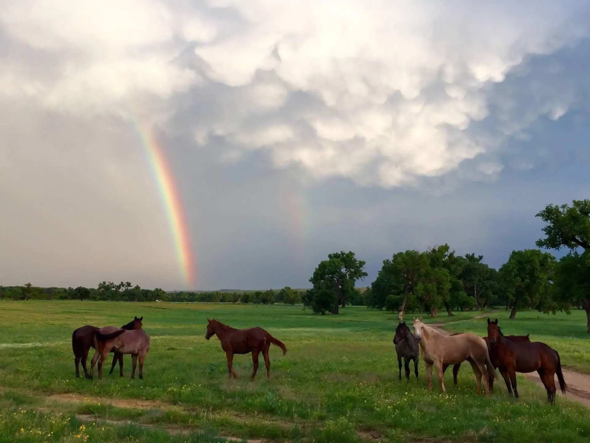 Hvad er guds lofter og hvordan star jeg fast pa dem