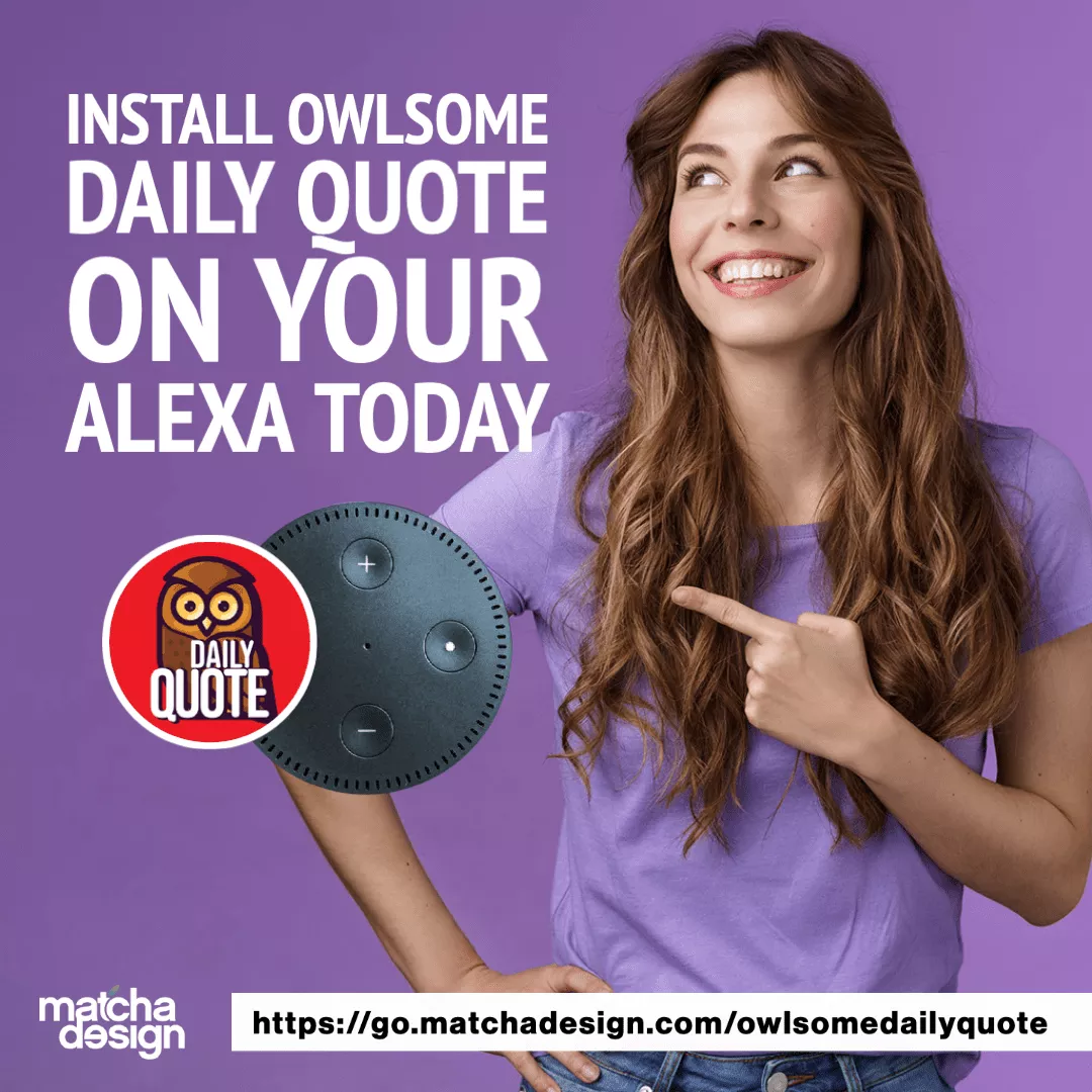 Owlsome Daily Quote 60 Rectangle 827
