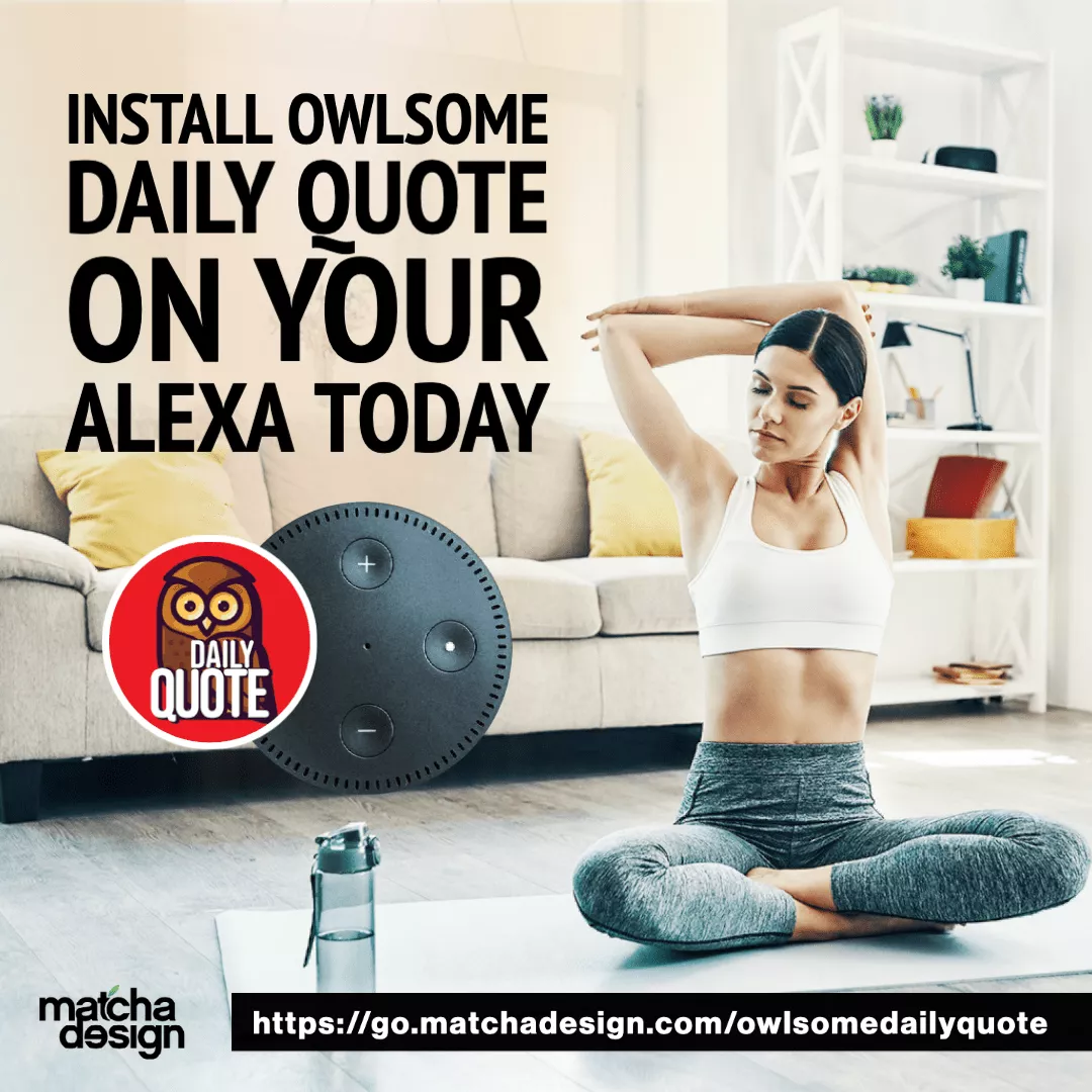 Owlsome Daily Quote 70 Rectangle 827