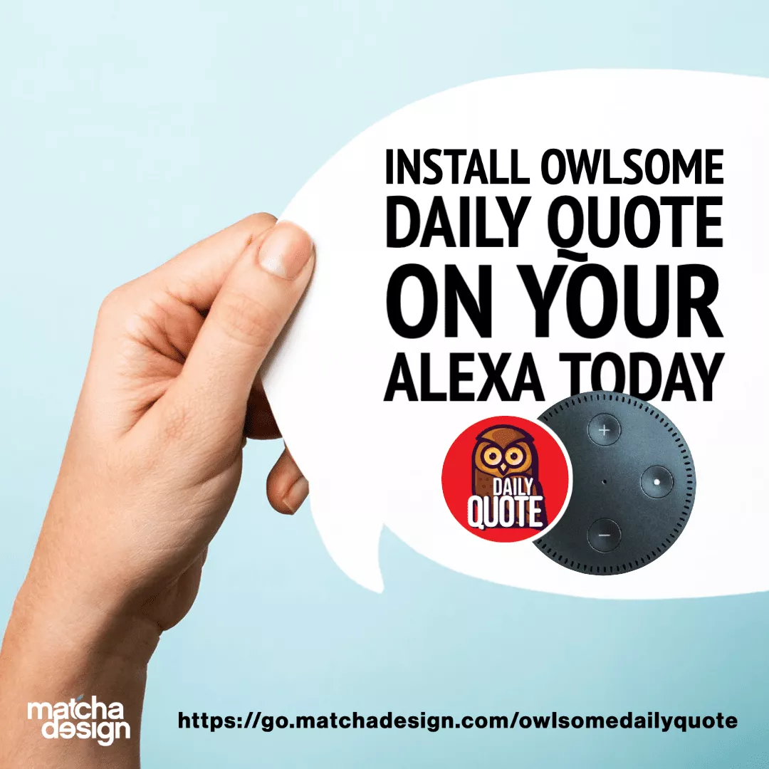 Owlsome Daily Quote 81 Rectangle 827