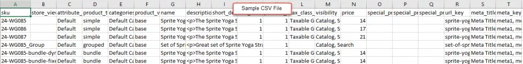 3_CSV File Sample
