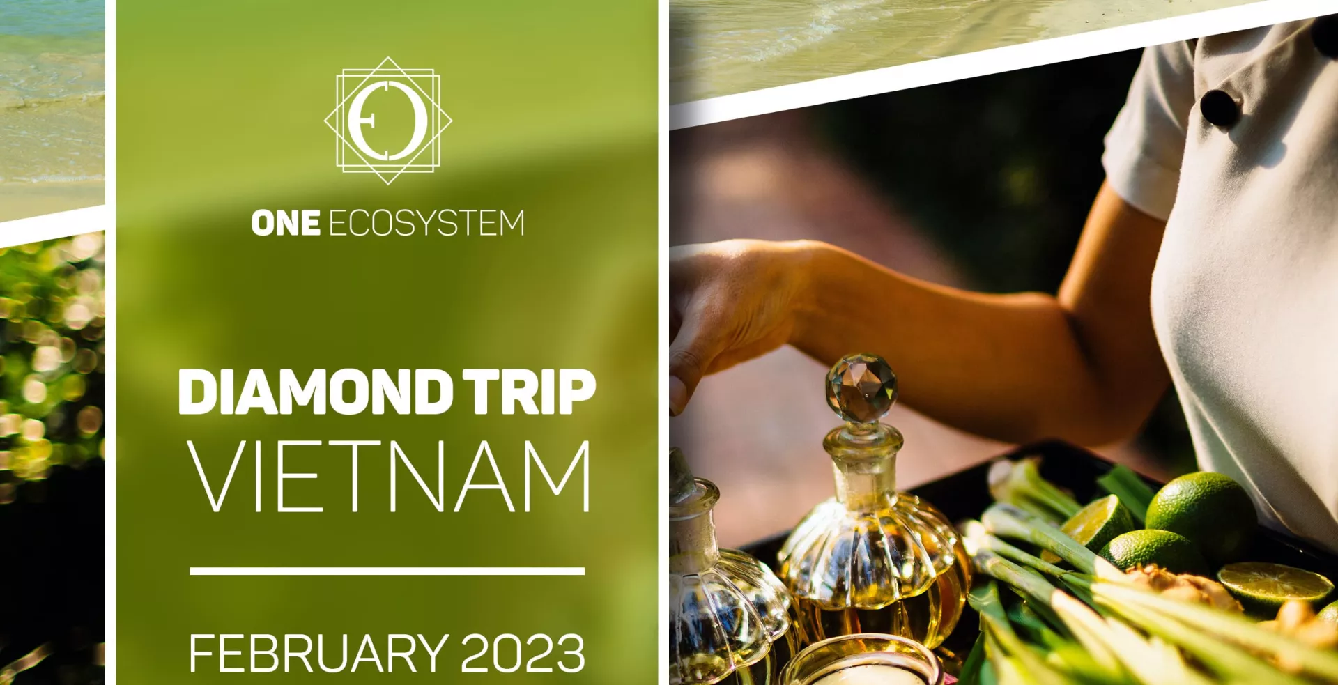 2023年2月に開催されるイベント「One Ecosystem ダイヤモンドトリップ ベトナム」のプロモーションイメージ。トレイにさまざまな食材を盛り付けて調理する様子が描かれています。