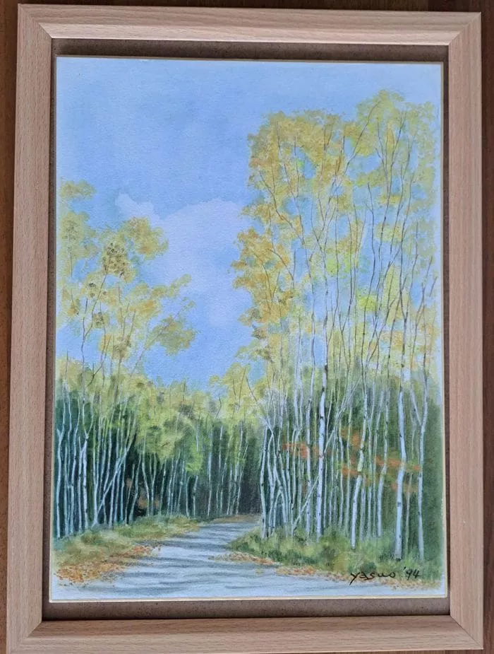 高くて細い木々、白樺の林道、黄緑色の葉、青い空、土の道のある森の風景を描いた額入り風景水彩画。右下にアーティストのサインと1996年が表示されます。.