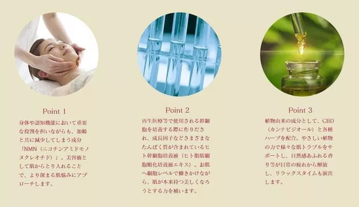 3つの円形セクション:左はフェイシャルマッサージを受ける人、中央は科学試験管、右は小瓶の上に液体が入ったスポイト。各画像の下には、このNMN配合オールインワン美容液のポイントを説明する日本語テキスト。.