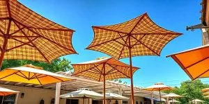 Large, colorful umbrellas provide shade over an outdoor patio area on a sunny day with a clear blue sky. Trees and part of a building are visible in the background.