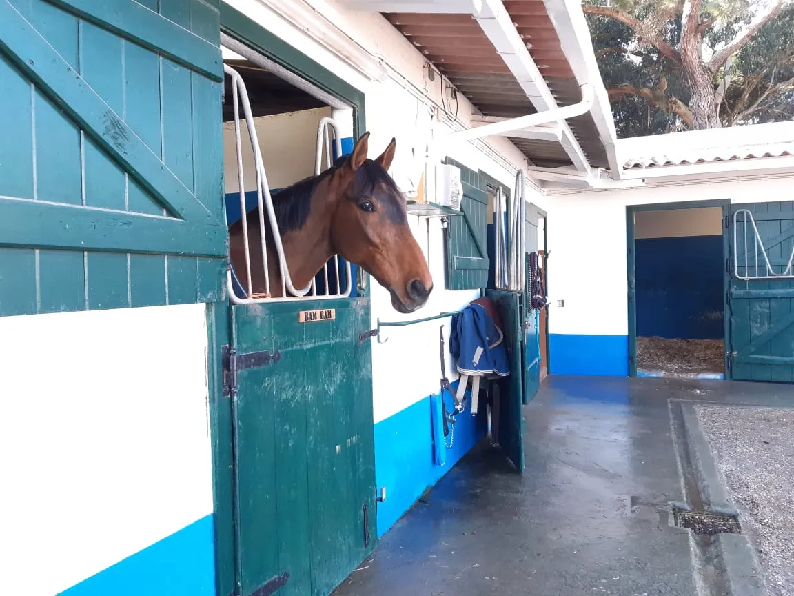 Boxes de alojamento para cavalos no Centro Hípico da Quinta da Marinha, Cascais