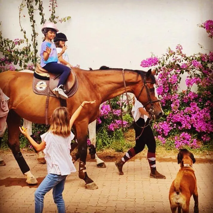 Campos de Férias Equestres
