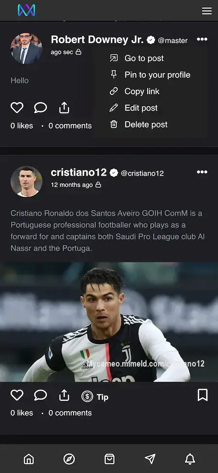 Cameo Clone 21 Cameo Clone Mobile App Posts Screen.
