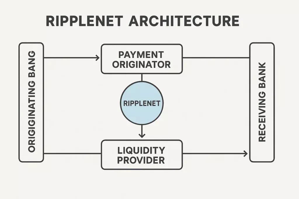 Ripple Explained – XRP, Cross-Border Payments & Crypto Infrastructure