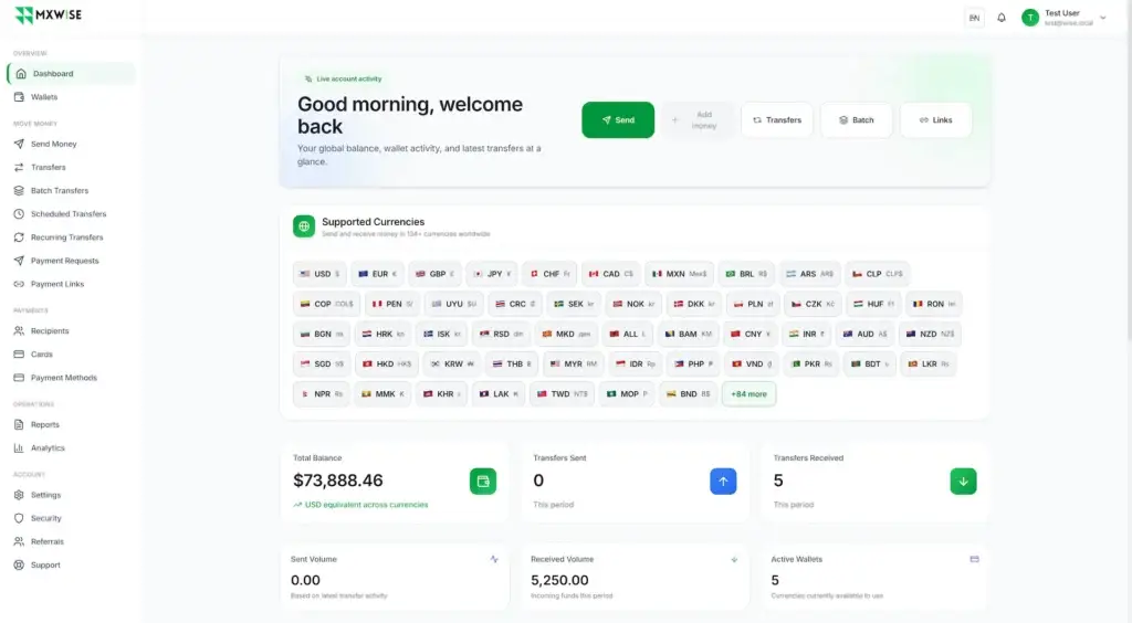 Wise Clone 41 MXWise-International-Money-Transfer-04-02-2026_10_04_AM