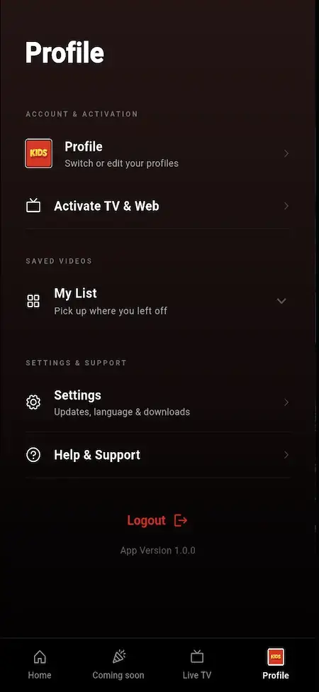 Netflix Clone 8 Netflix Loan Mobile App Profile Page