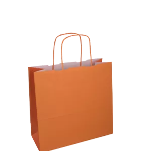 Borsa Di Lusso "Bonnes Fêtes" Kraft Manici Ritorti 35 13x33cm - Per 12 - Foto 10