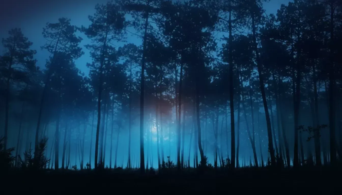 Tall, thin trees stand silhouetted against a blue, misty forest at night. Echoing the emotional thriller mood of Kristin Hannah’s Magic Hour, dense fog creates a mysterious atmosphere as pale moonlight glows through the trees, illuminating the mist.