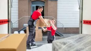 Blog 8 Untitled design 4 BLOG <p> CALL US NOW (914) 313-8174 </p>