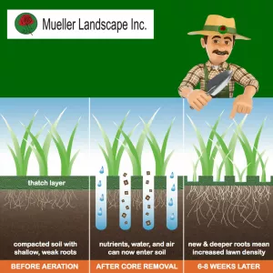 Core Aeration Service