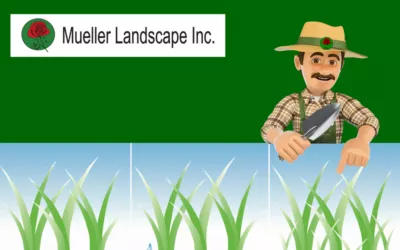 Unearthing the Benefits of Lawn Aeration: A Comprehensive Guide