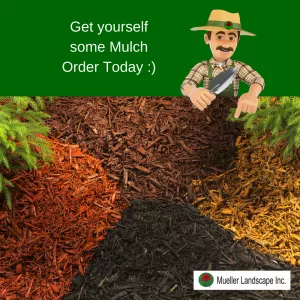 mulch service