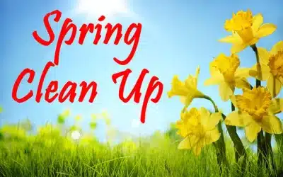 Revitalize Your Yard with Our Spring Clean-Up Services!