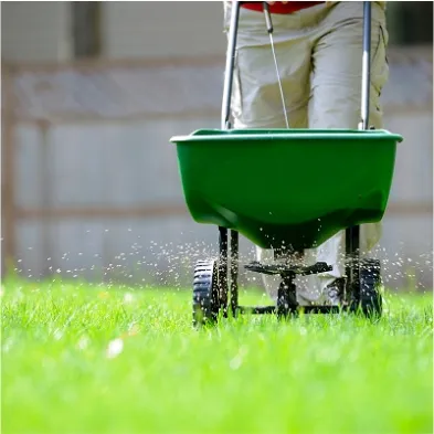 A person employs a green spreader to evenly distribute grass seed, illustrating efficient gardening practices.