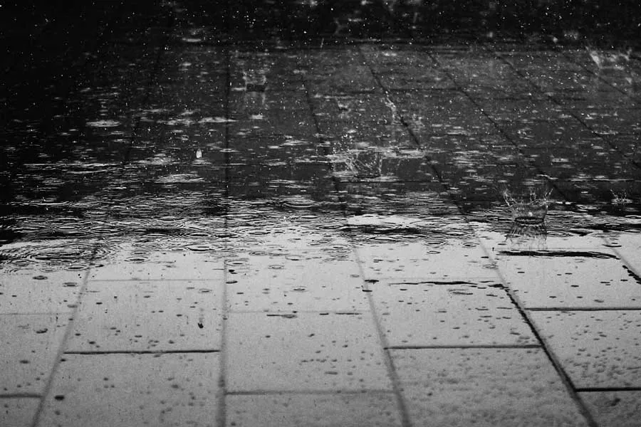 Rain on pavement