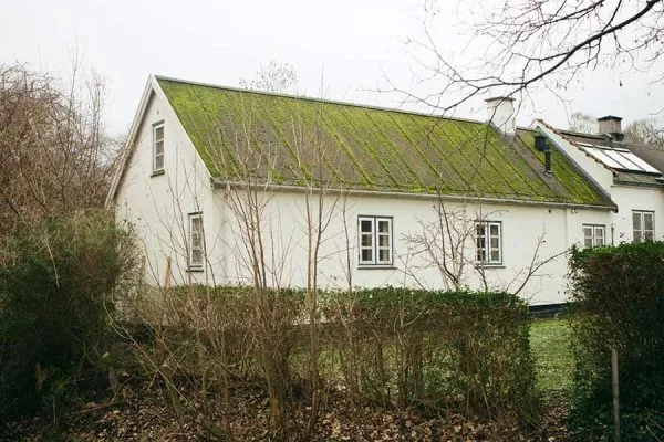 Home with a green roof