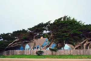 Suburban homes in a strong wind storm