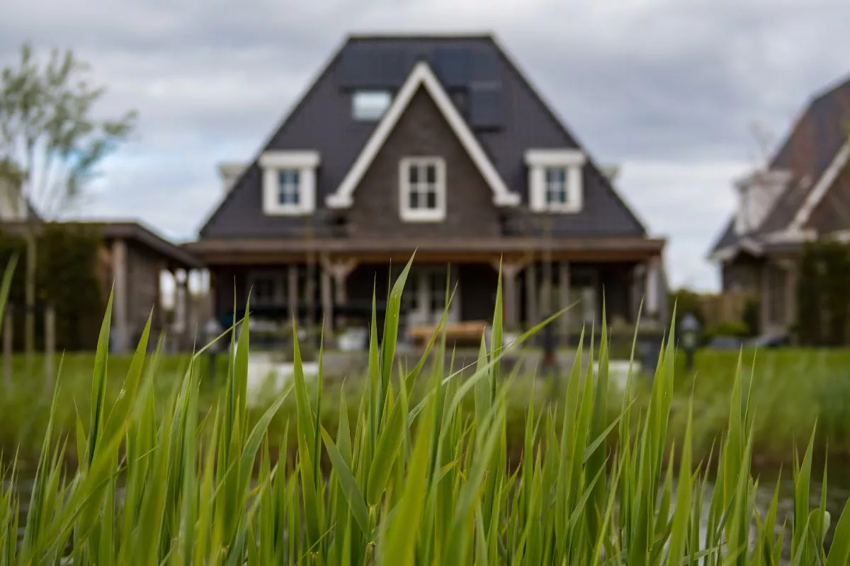grass closeup with blurred home in the distance
