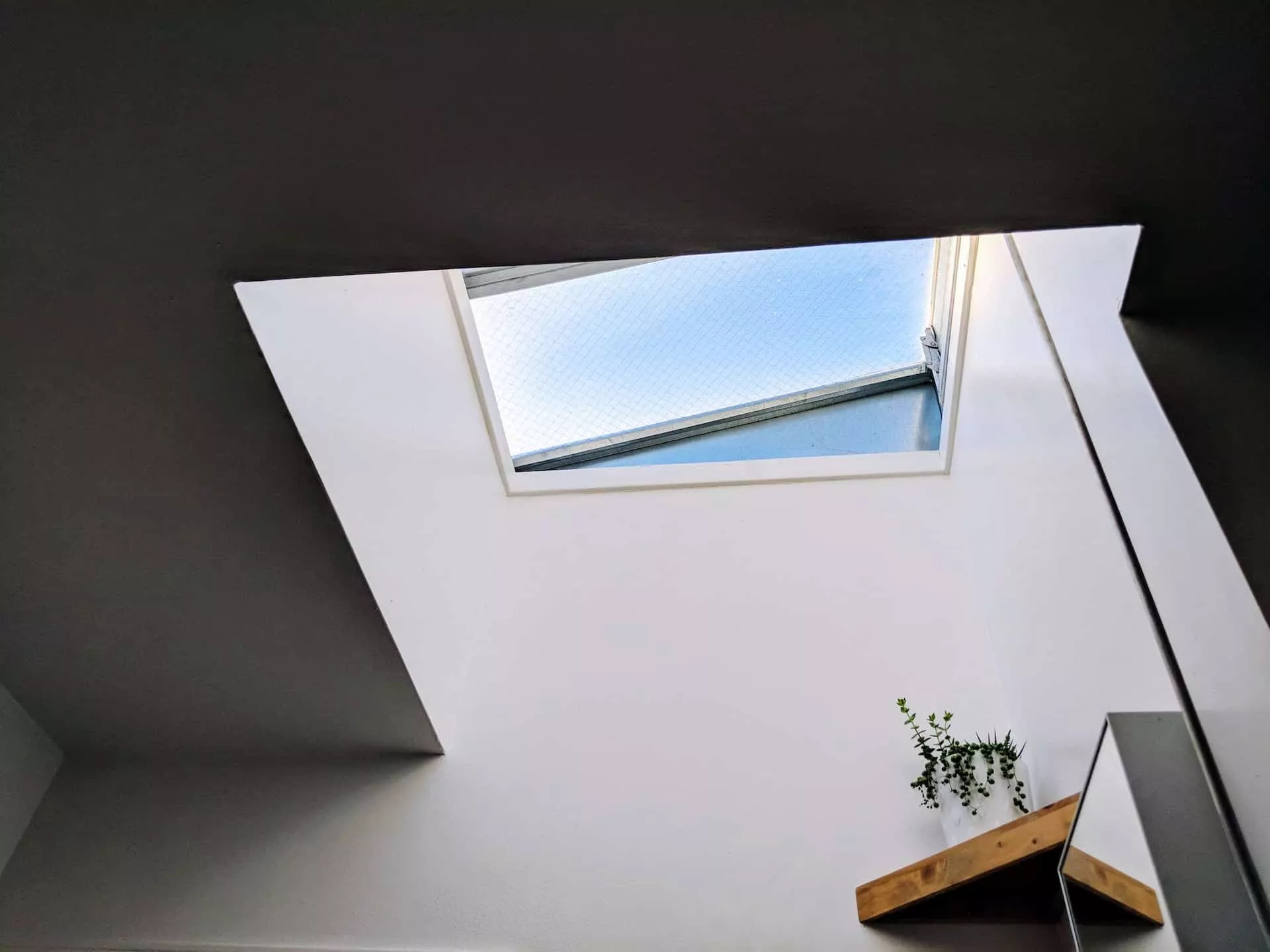 Skylight providing natural light to a plant and a room
