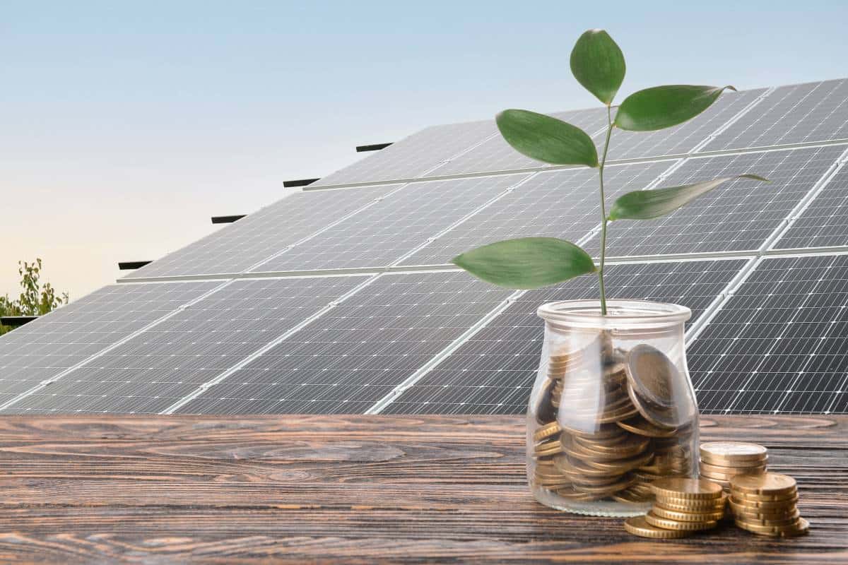 Roof and solar installation in New Braunfels with a plant growing from coins.