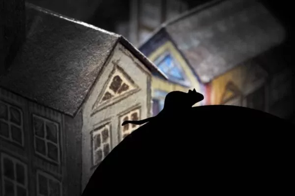 rat Silhouette Over Some Houses Roofs