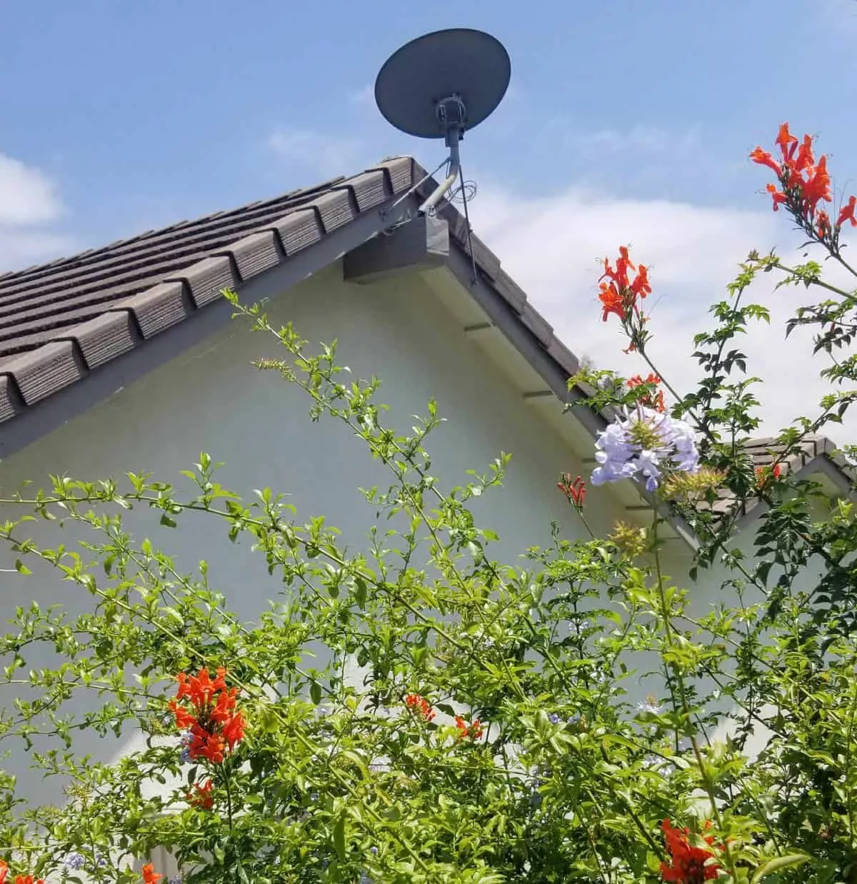 Satellite Dish Installed over a House Roof