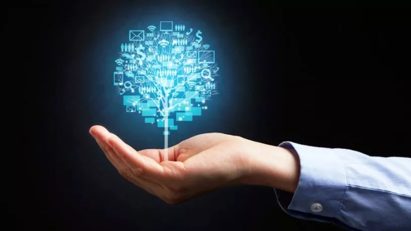 Hand Of an Austin Web Hosting Expert Holding Glowing Tree