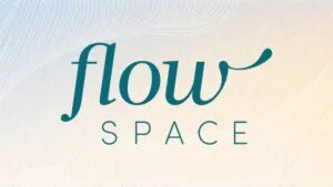 Flow Space logo