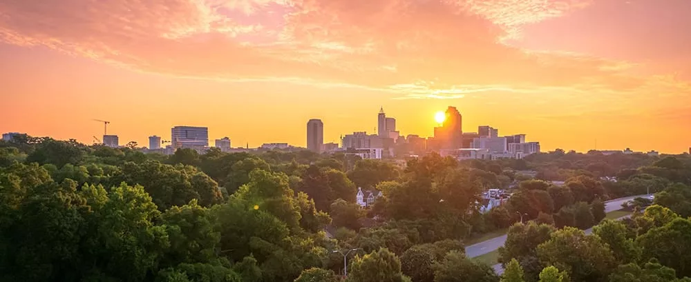 Raleigh NC Thumbnail