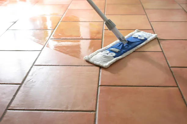 Carpet Steam Cleaning vs Floor Stripping & Waxing: What’s the Real Difference?