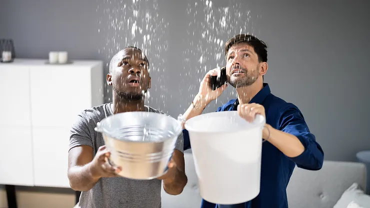 Stay Leak-Free: Tips for Detecting and Preventing Water Seepage