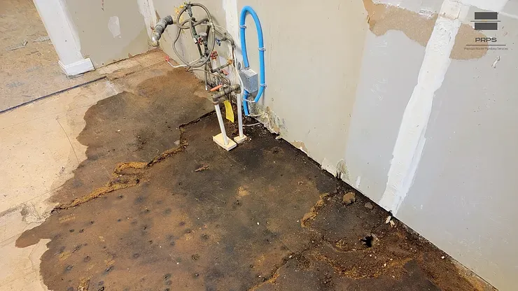 Identifying and Addressing a Leaky Slab: A Guide by Premium Rooter Plumbing Services