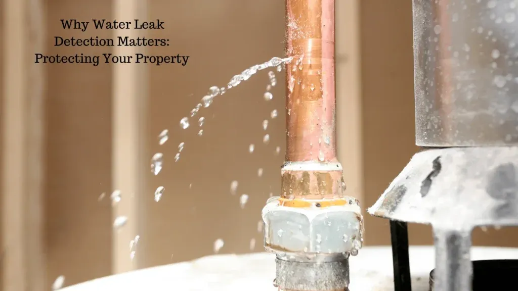 Why Water Leak Detection Matters: Protecting Your Property