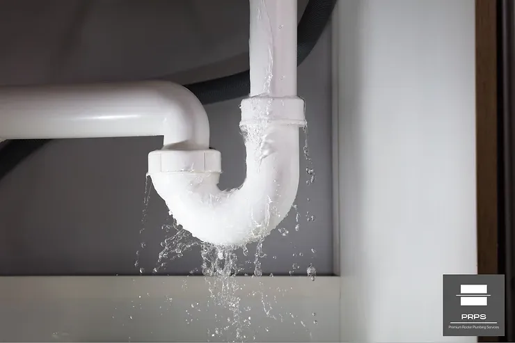 Why You Should Address Plumbing Leaks Immediately
