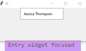 Use Tkinter Entry Widget in Python handle entry Use Tkinter Entry Widget in Python handle entry